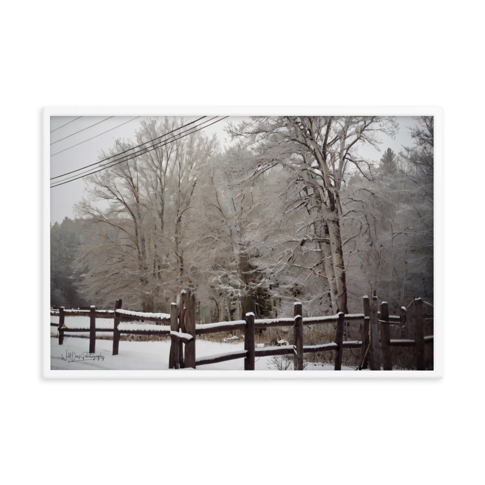 Winter Wonder - Framed Paintography