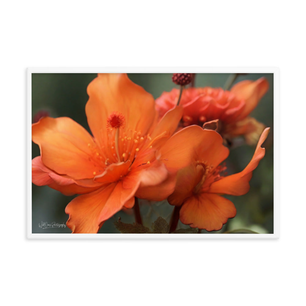 Tiger Lily - Framed Paintography