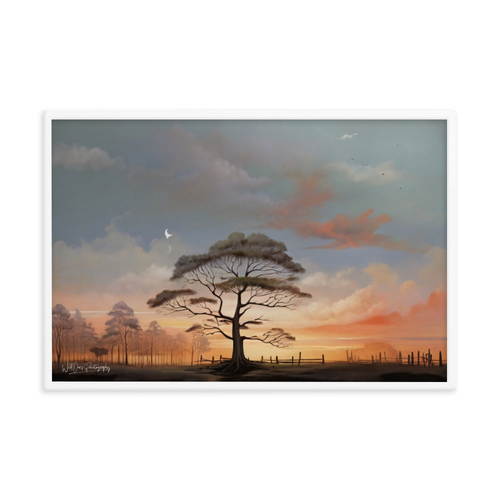 Solo Canopy Sunset - Framed Paintography
