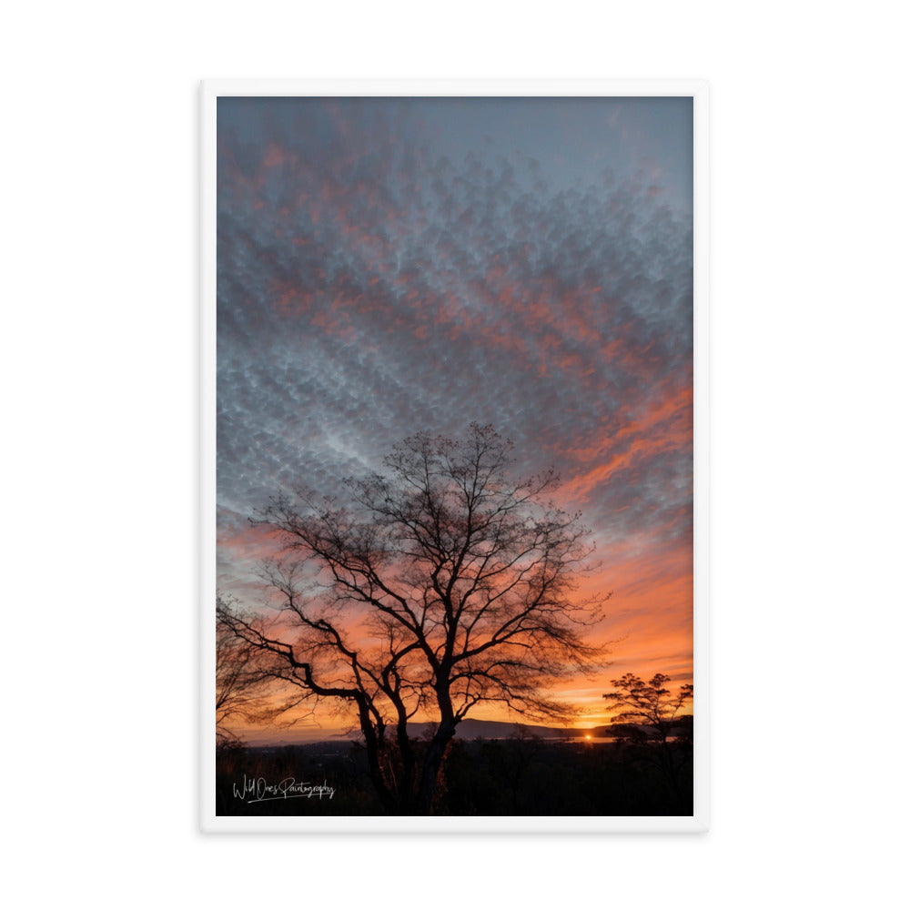 Scenic Sunset - Framed Paintography