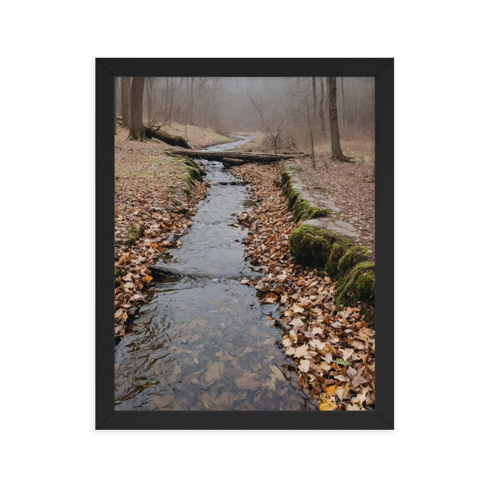 Woodland Stream - Framed Paintography