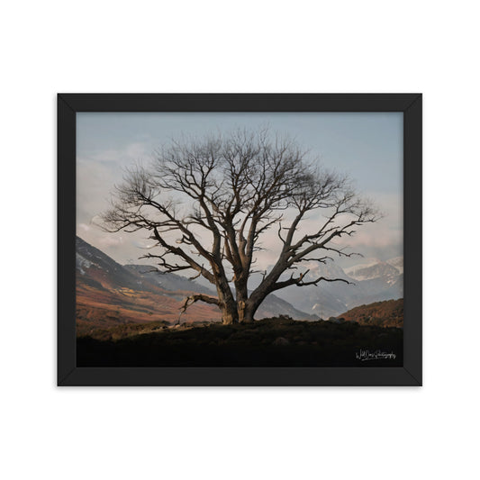Withstand Time - Framed Paintography