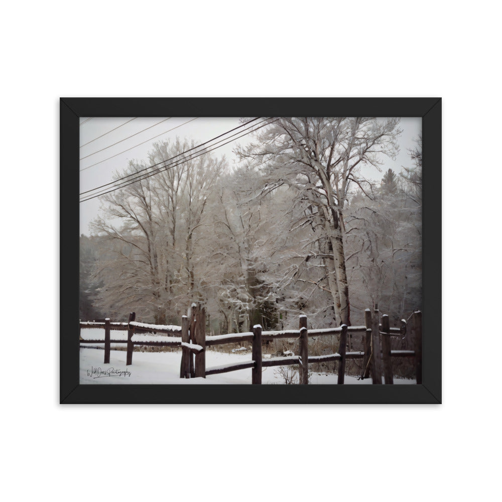 Winter Wonder - Framed Paintography