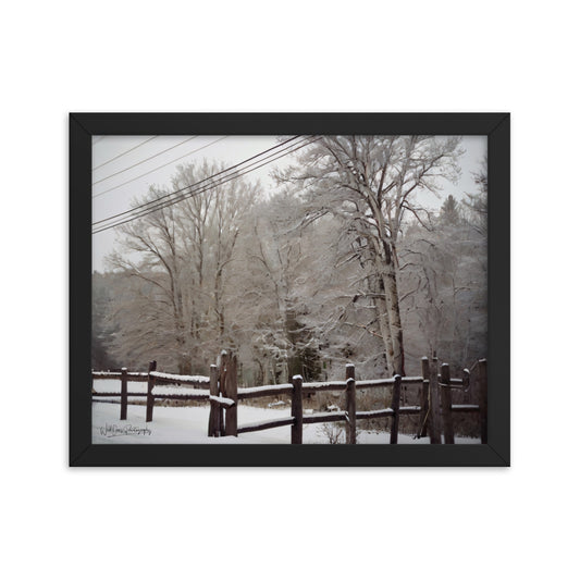Winter Wonder - Framed Paintography