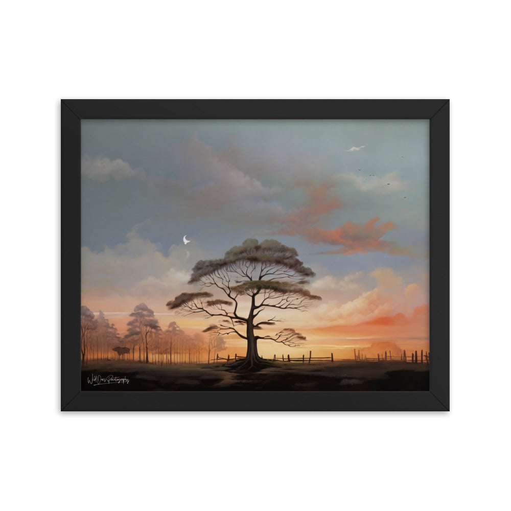 Solo Canopy Sunset - Framed Paintography