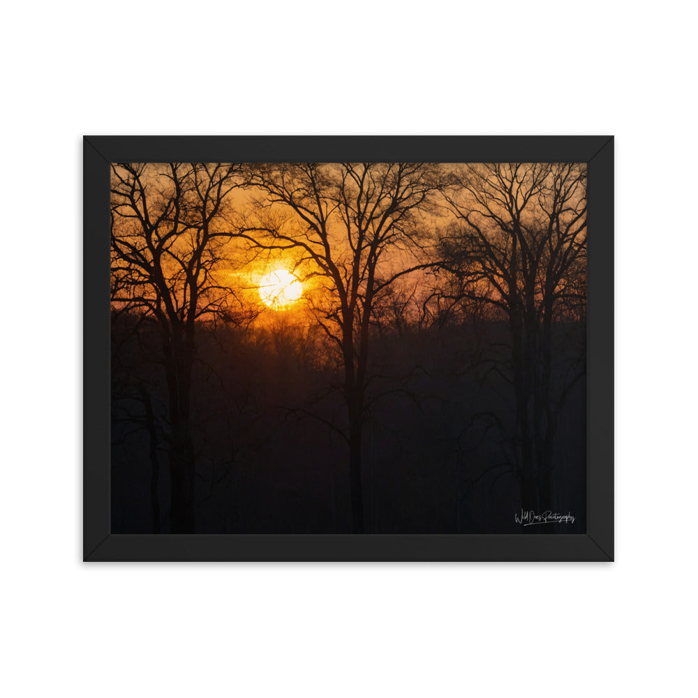 Setting Sun - Framed Paintography