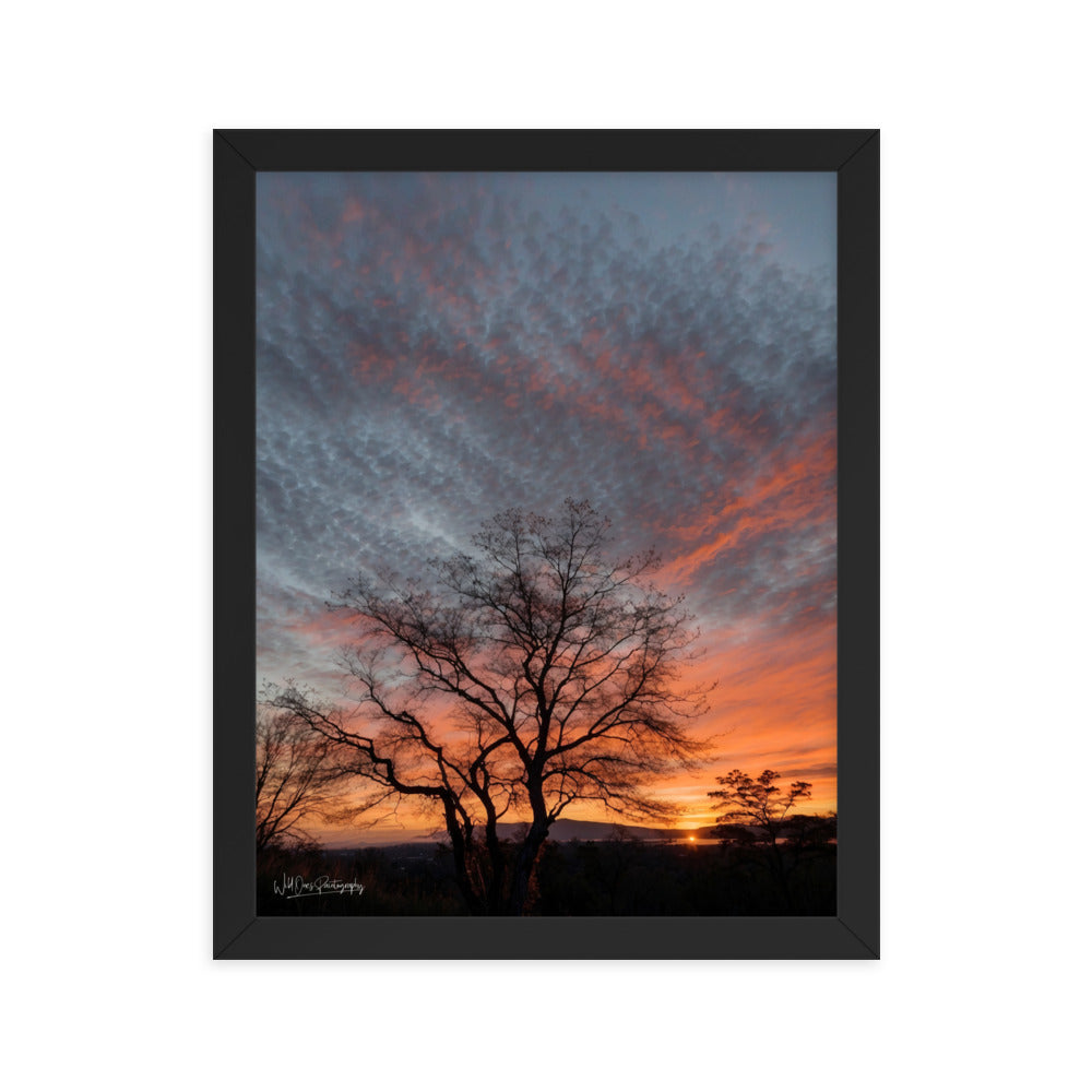 Scenic Sunset - Framed Paintography