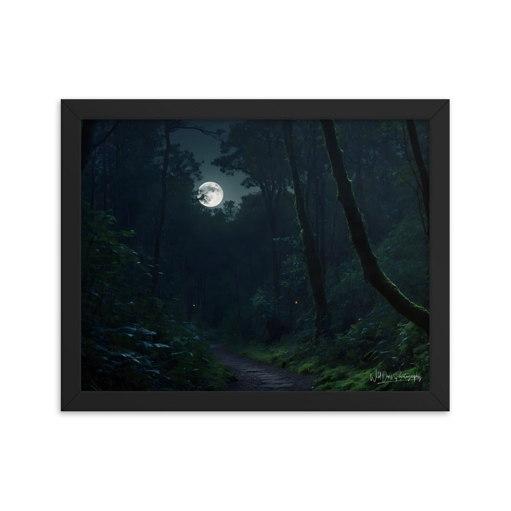 Moonlit Pathway - Framed Paintography