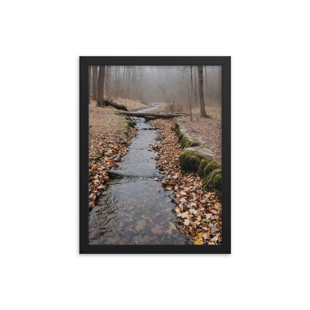 Woodland Stream - Framed Paintography