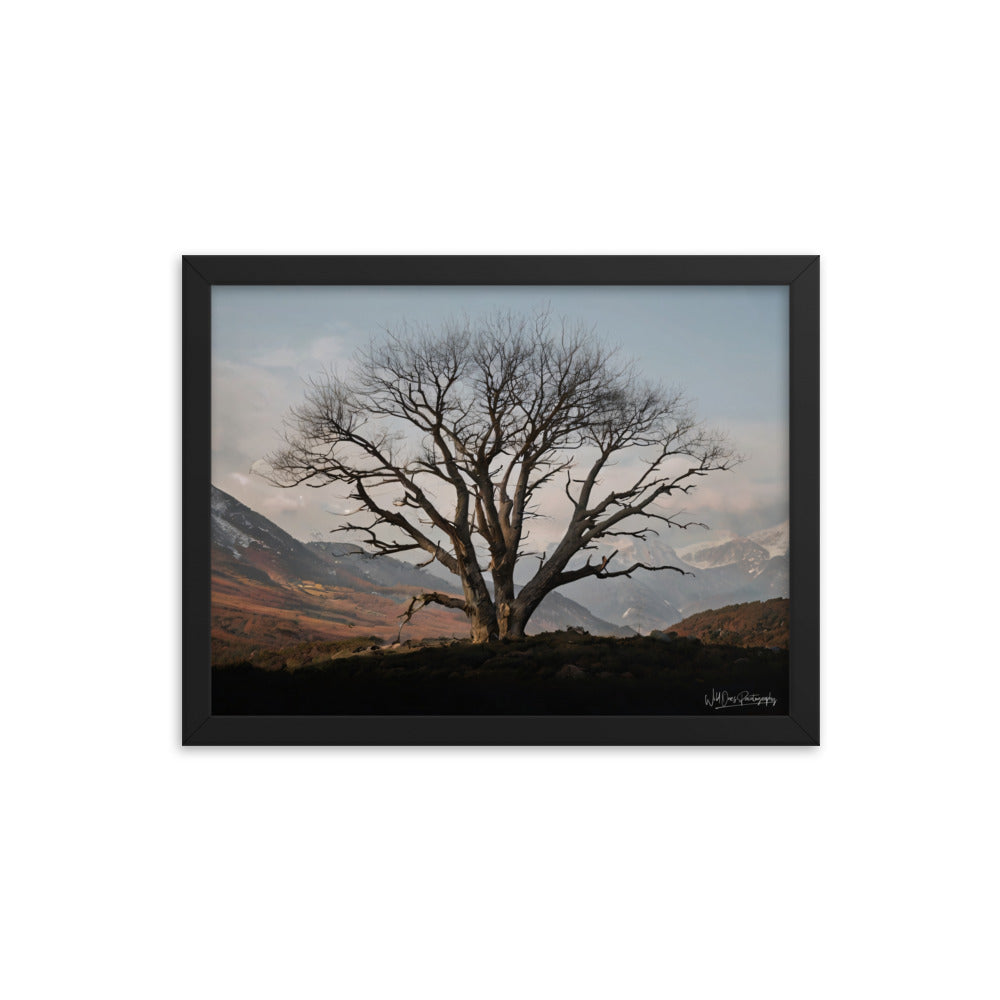 Withstand Time - Framed Paintography
