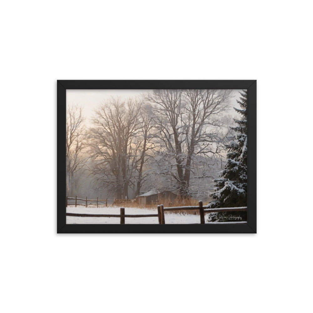 Winter Wonder Shed - Framed Paintography