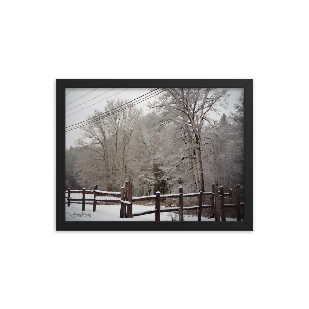 Winter Wonder - Framed Paintography