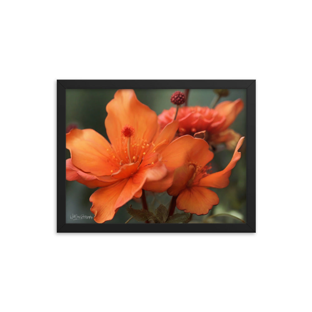 Tiger Lily - Framed Paintography
