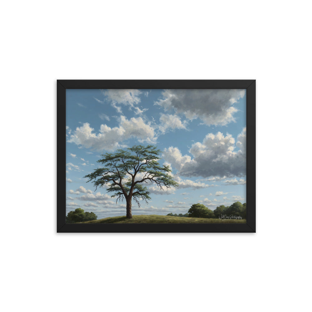 Spring Breeze - Framed Paintography