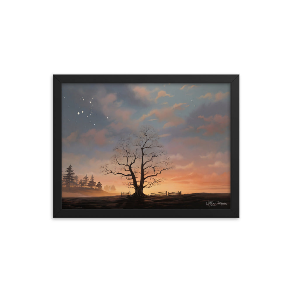 Split Tree Sunset - Framed Paintography