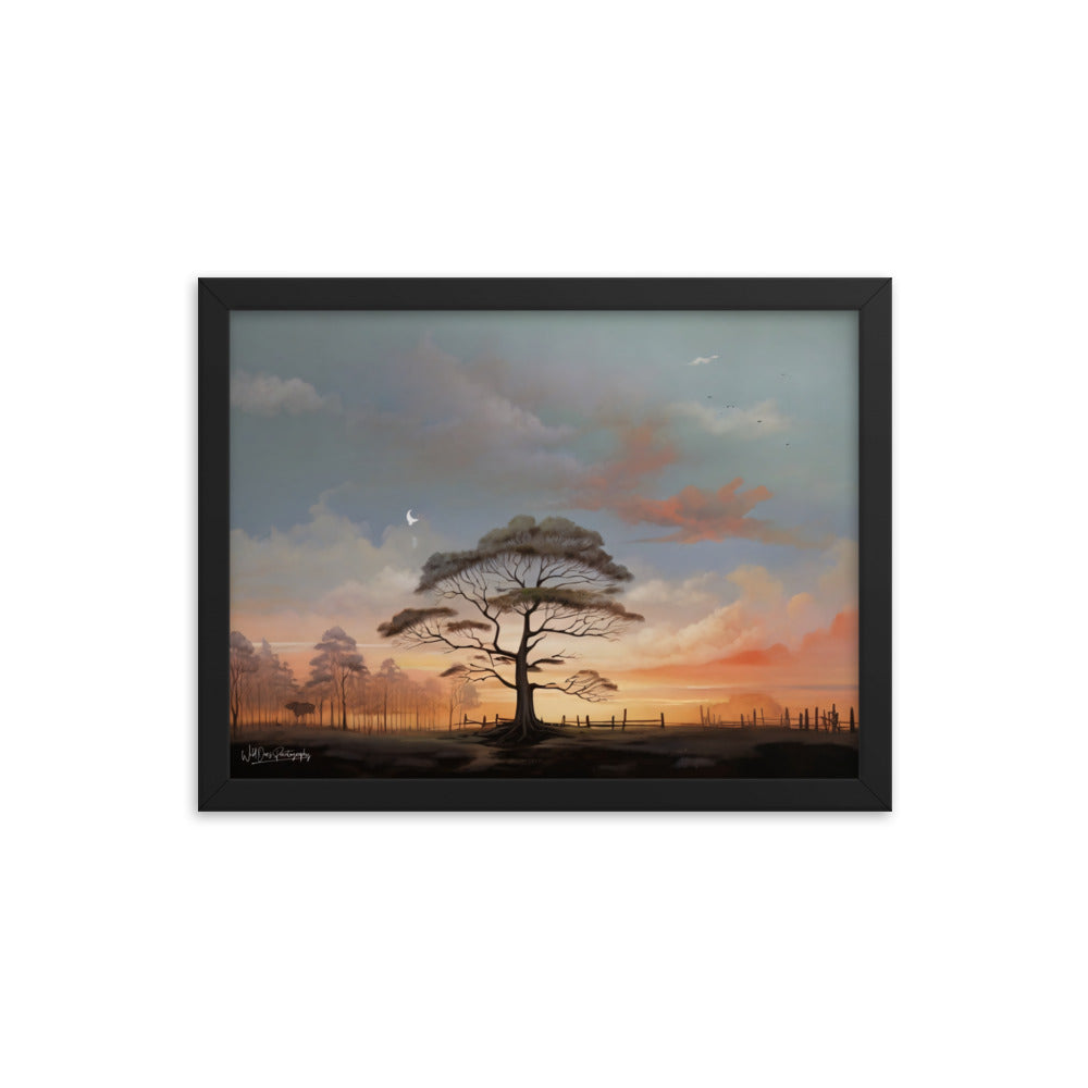 Solo Canopy Sunset - Framed Paintography