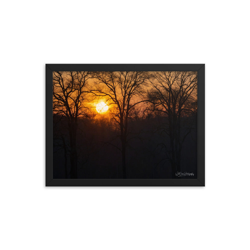 Setting Sun - Framed Paintography