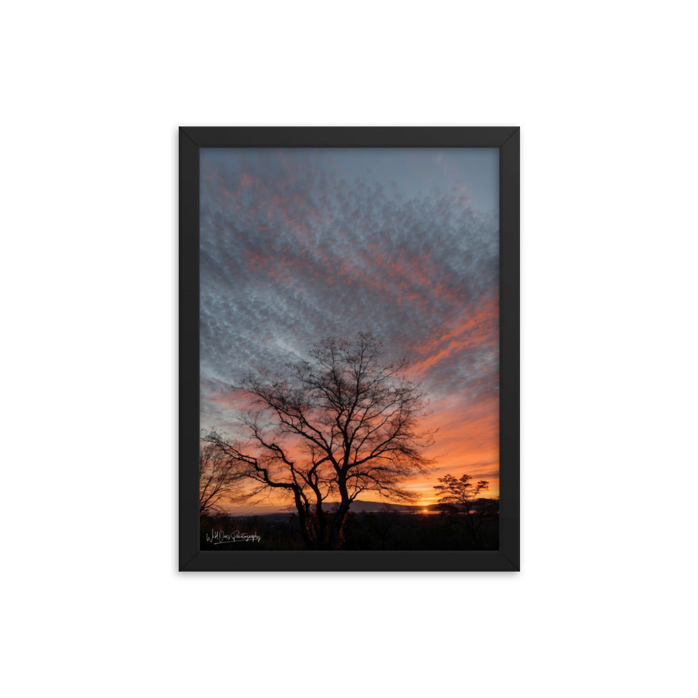 Scenic Sunset - Framed Paintography