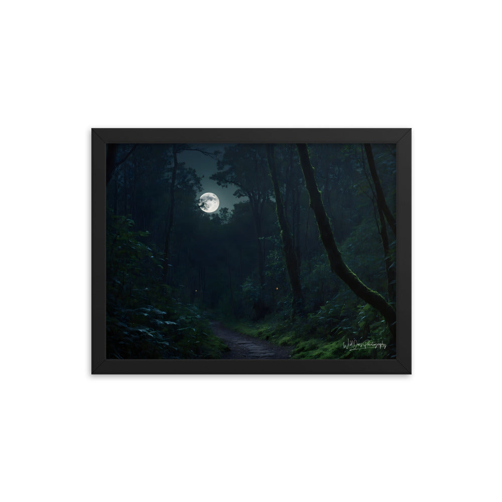 Moonlit Pathway - Framed Paintography
