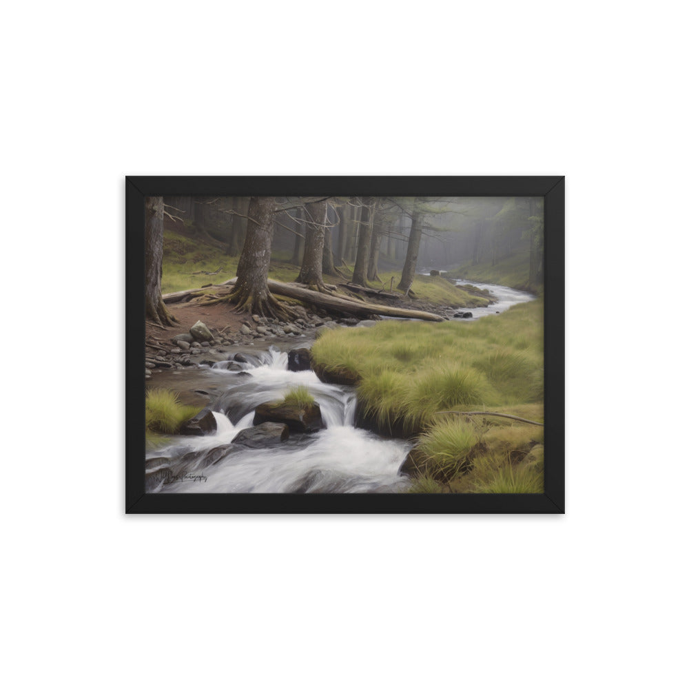 Misty Forest Creek - Framed Paintography