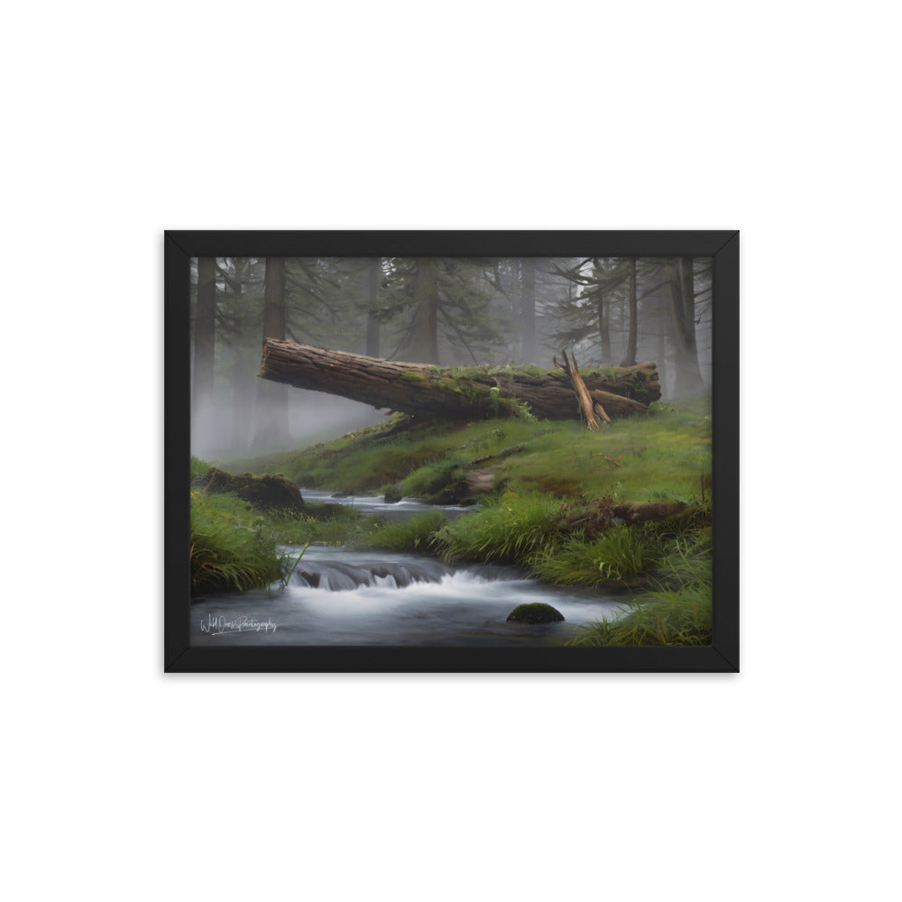Enchanted Woodland Flow - Framed Paintography