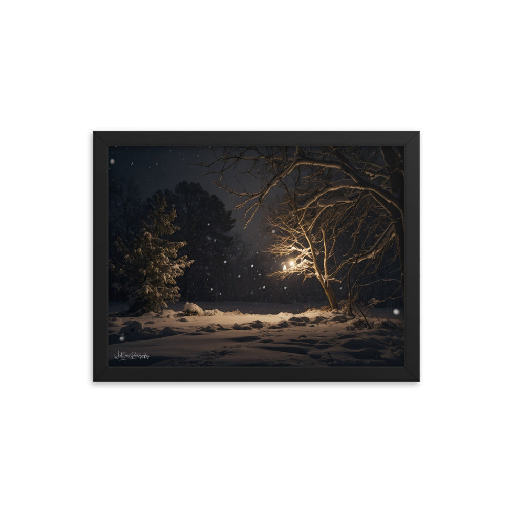Midnight Snow - Framed Paintography