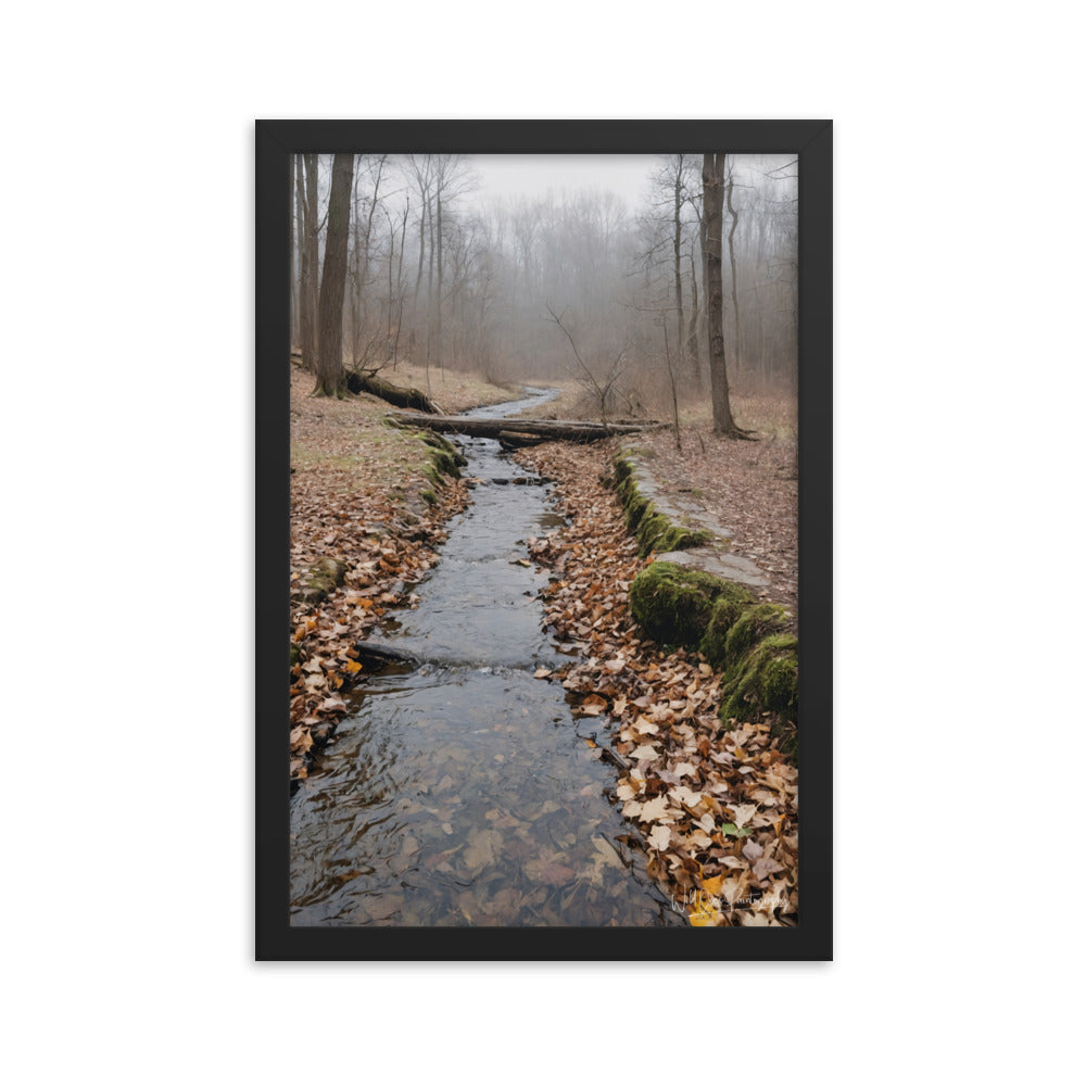 Woodland Stream - Framed Paintography