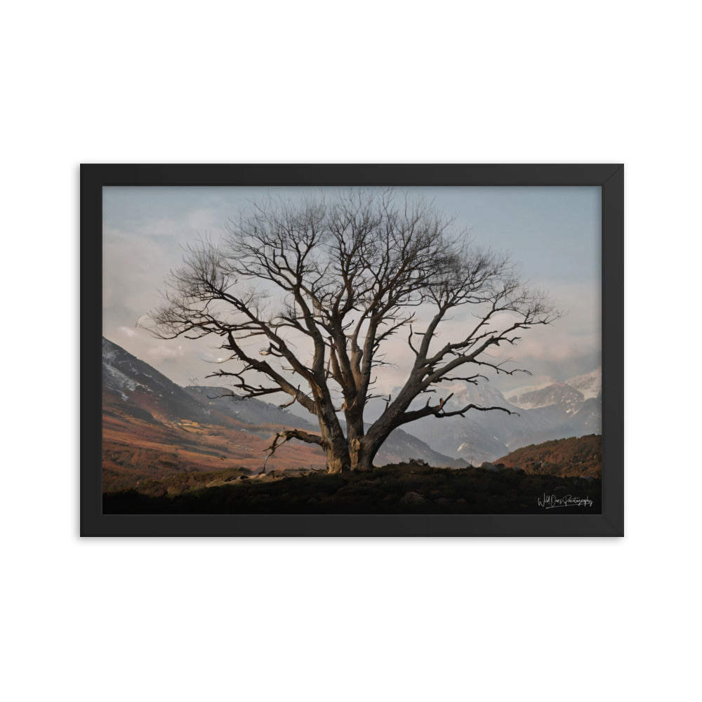 Withstand Time - Framed Paintography