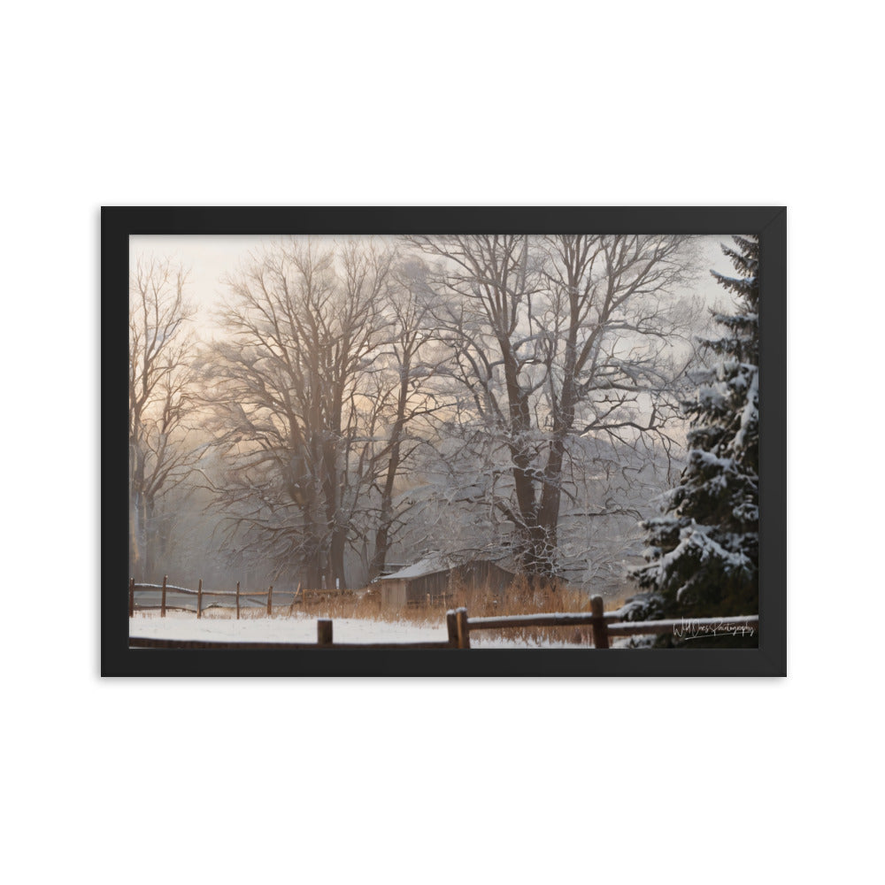Winter Wonder Shed - Framed Paintography