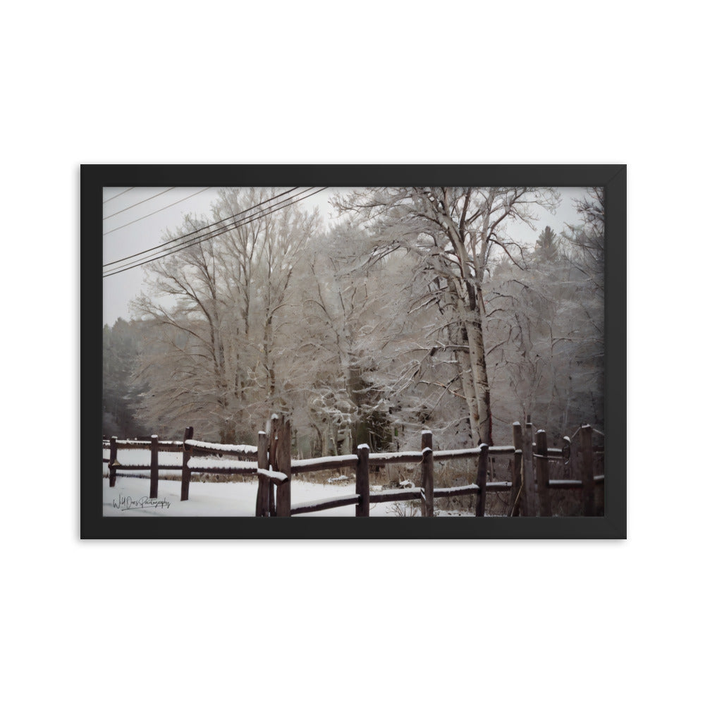 Winter Wonder - Framed Paintography