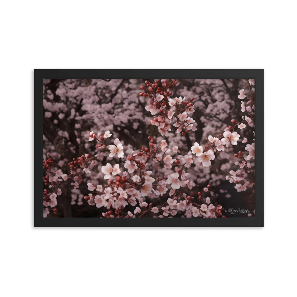 Spring Blossom - Framed Paintography