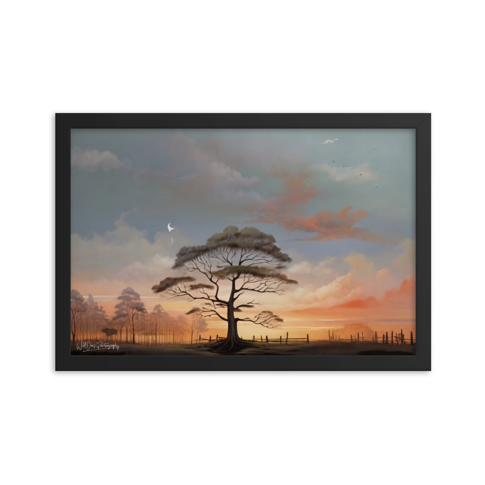 Solo Canopy Sunset - Framed Paintography