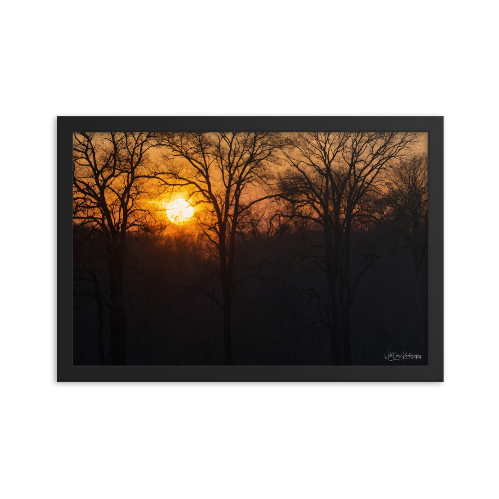 Setting Sun - Framed Paintography
