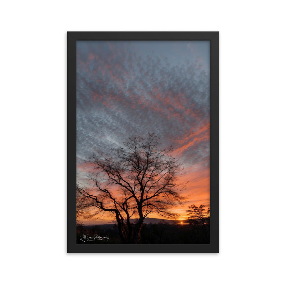 Scenic Sunset - Framed Paintography