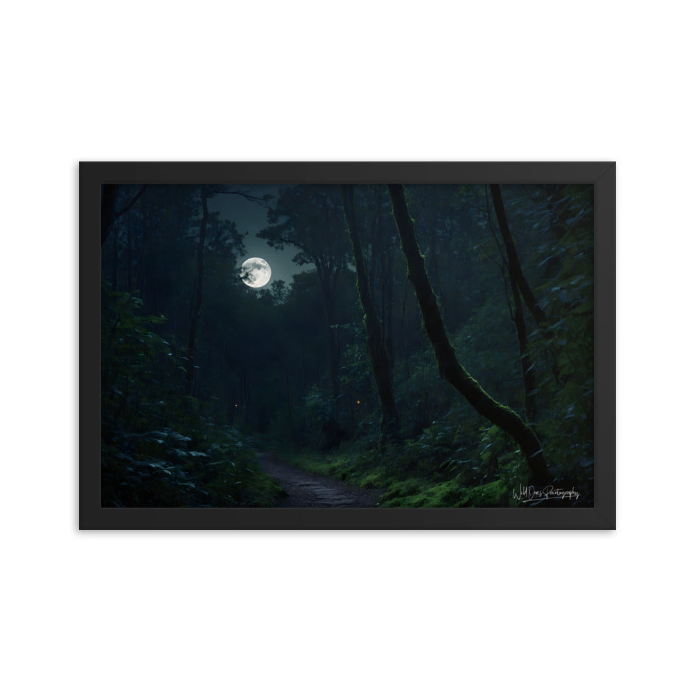 Moonlit Pathway - Framed Paintography