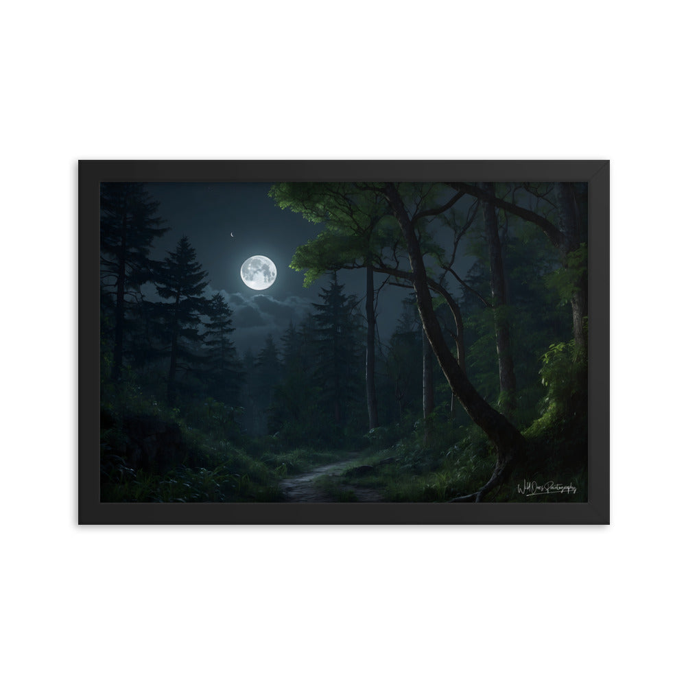 Moonlit Path - Framed Paintography