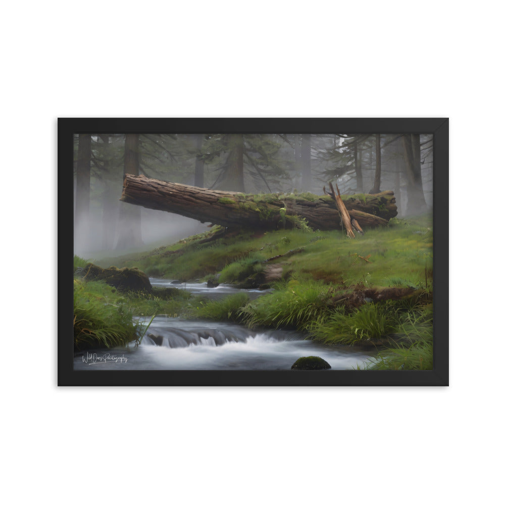 Enchanted Woodland Flow - Framed Paintography