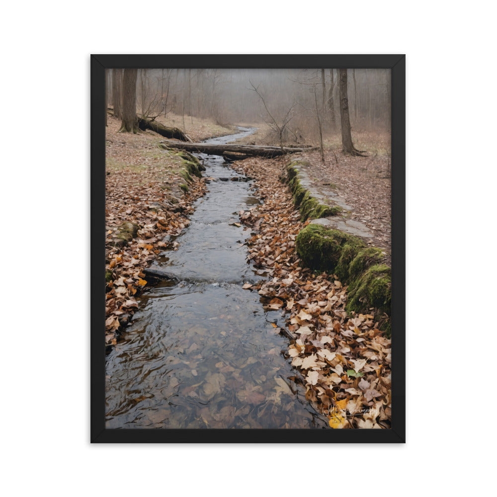 Woodland Stream - Framed Paintography