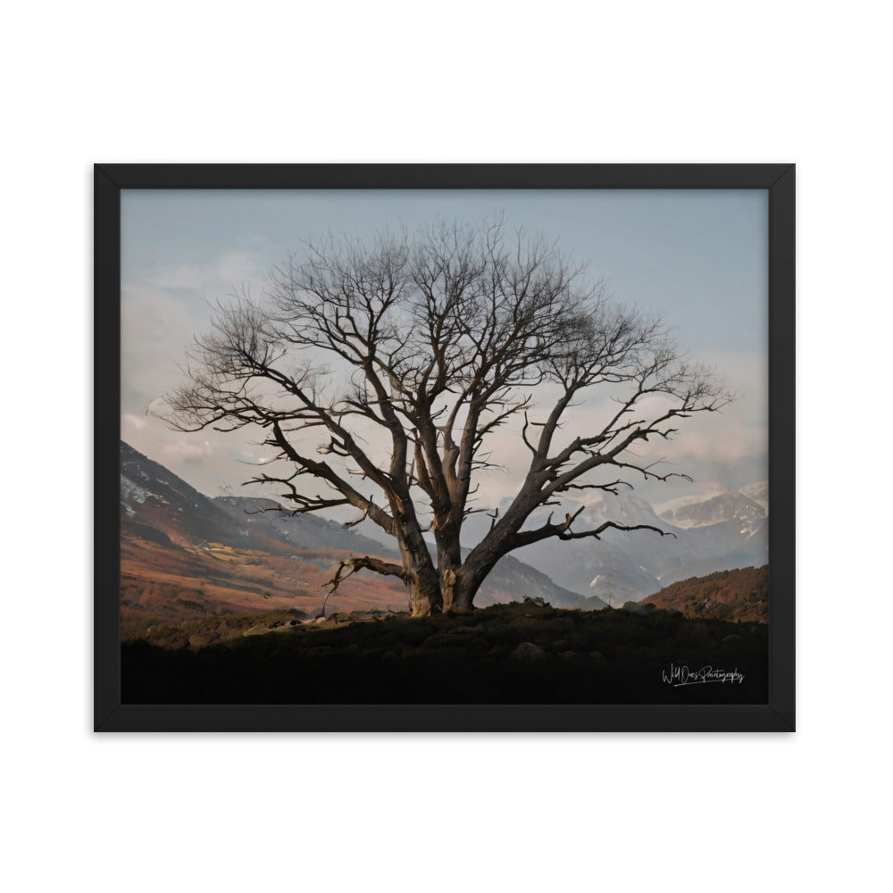 Withstand Time - Framed Paintography
