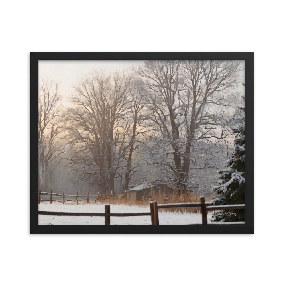 Winter Wonder Shed - Framed Paintography