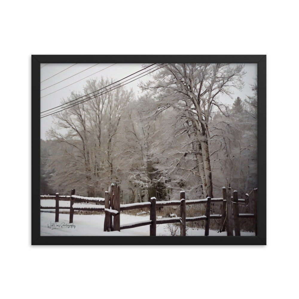 Winter Wonder - Framed Paintography