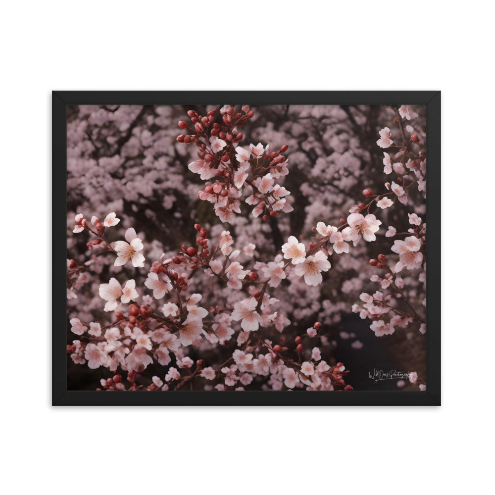 Spring Blossom - Framed Paintography