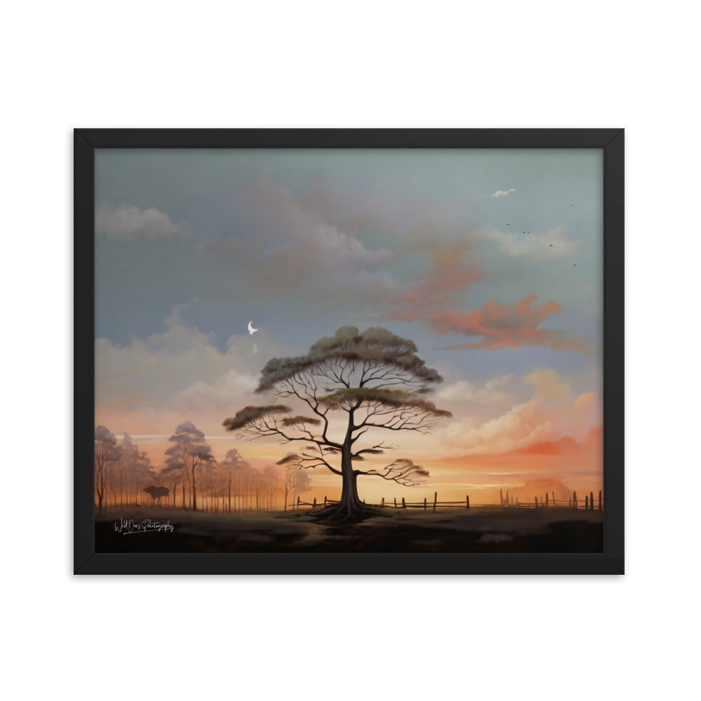 Solo Canopy Sunset - Framed Paintography