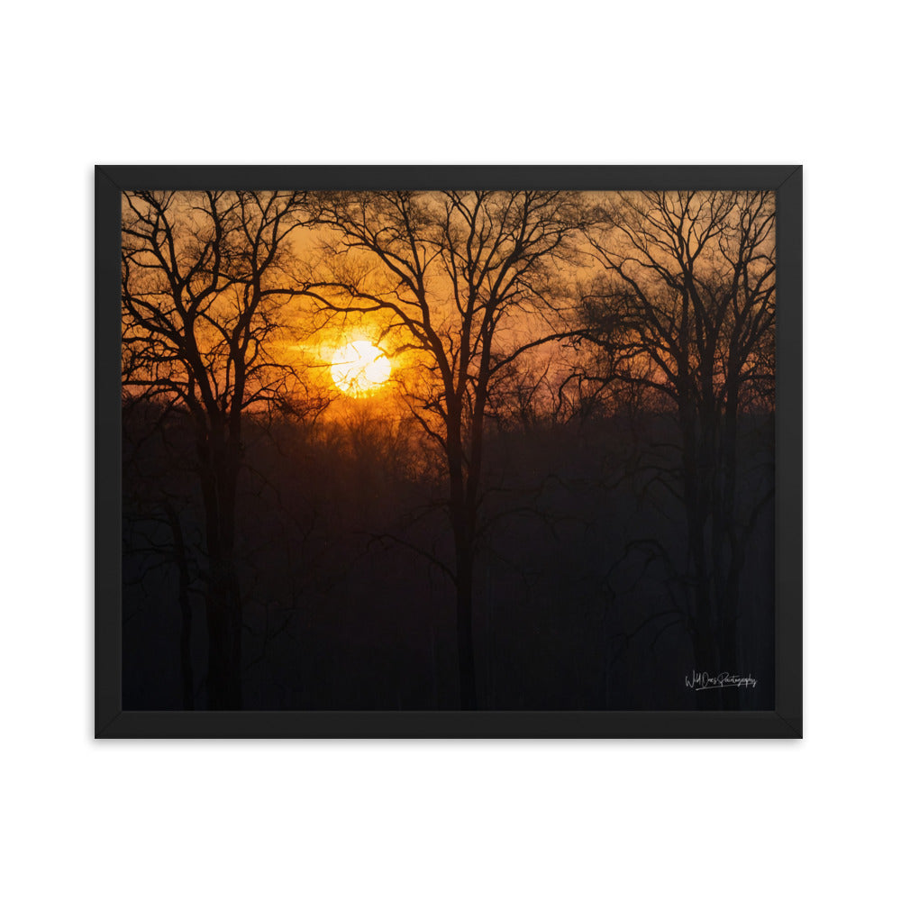 Setting Sun - Framed Paintography