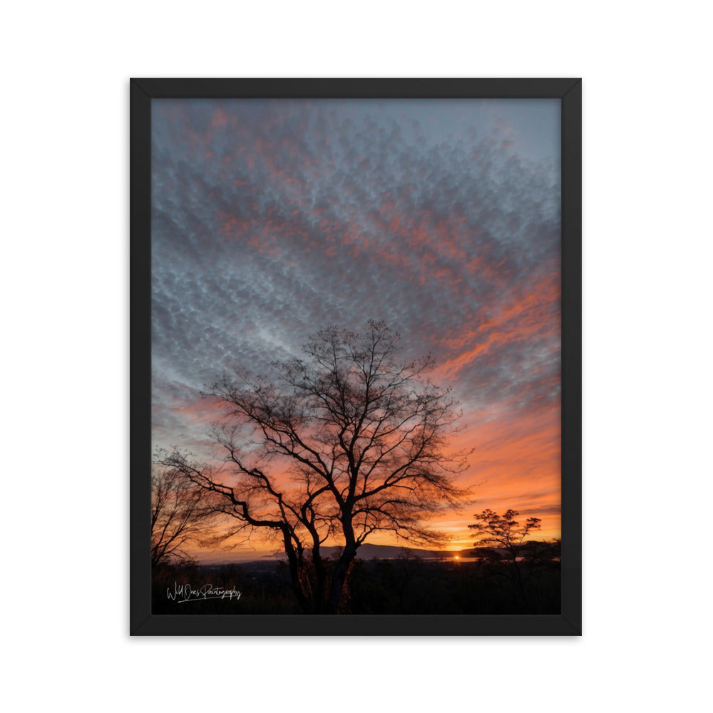 Scenic Sunset - Framed Paintography
