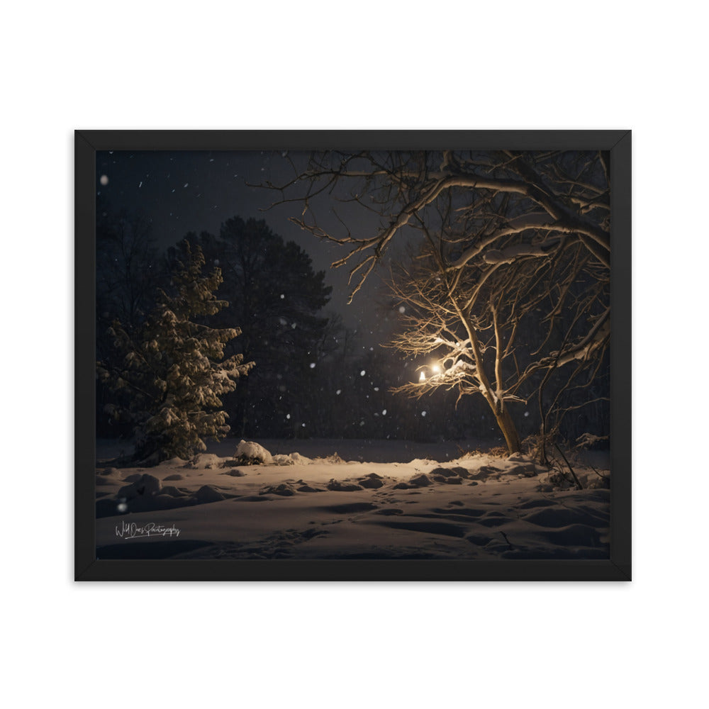Midnight Snow - Framed Paintography