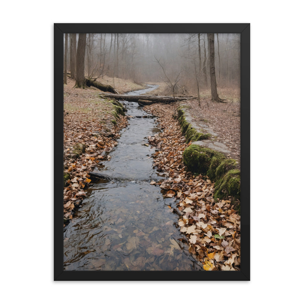 Woodland Stream - Framed Paintography