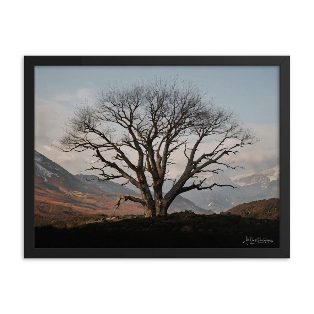 Withstand Time - Framed Paintography
