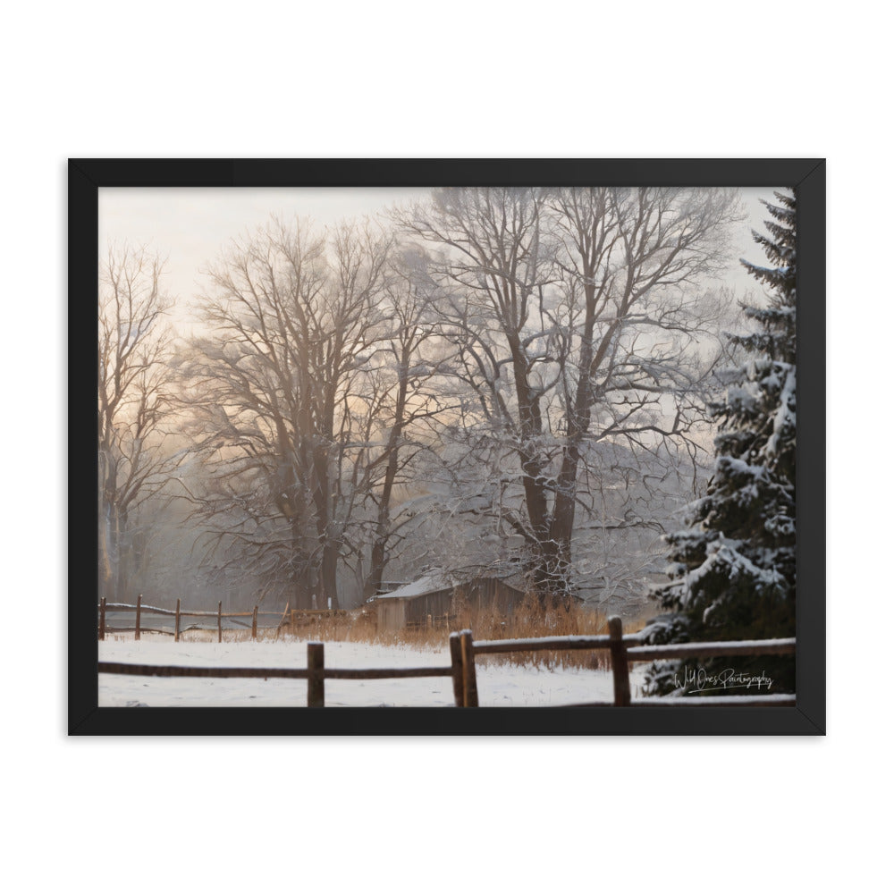 Winter Wonder Shed - Framed Paintography
