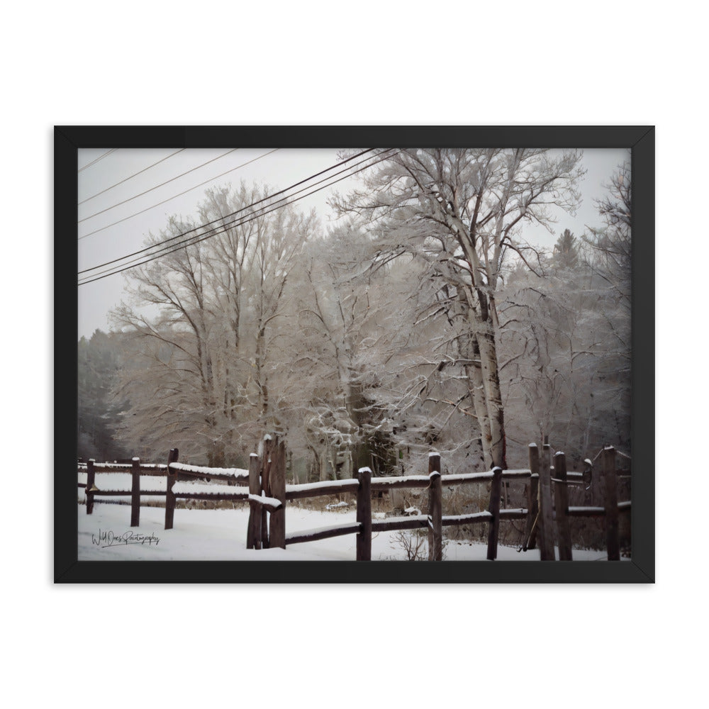 Winter Wonder - Framed Paintography